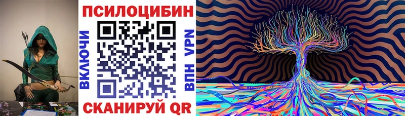 Галлюциногенные грибы Psilocybine cubensis  Болхов 