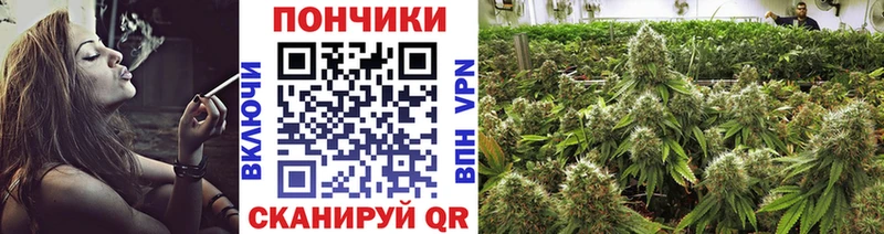 Конопля AK-47  где купить наркоту  Болхов 